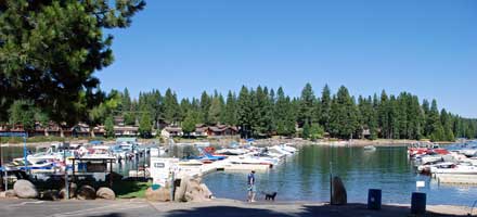 Photo of Big Cove marina