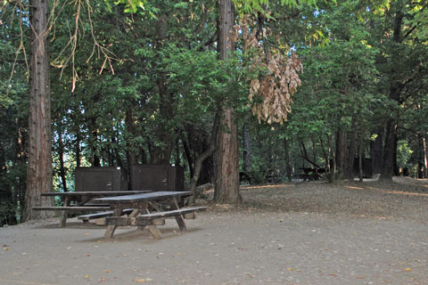 Dark Day Campground, New Buillards Bar, CA