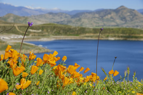 Diamond Valley Lake, California