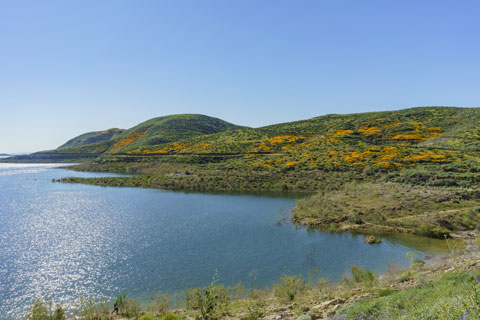 Diamond Valley Lake, CA